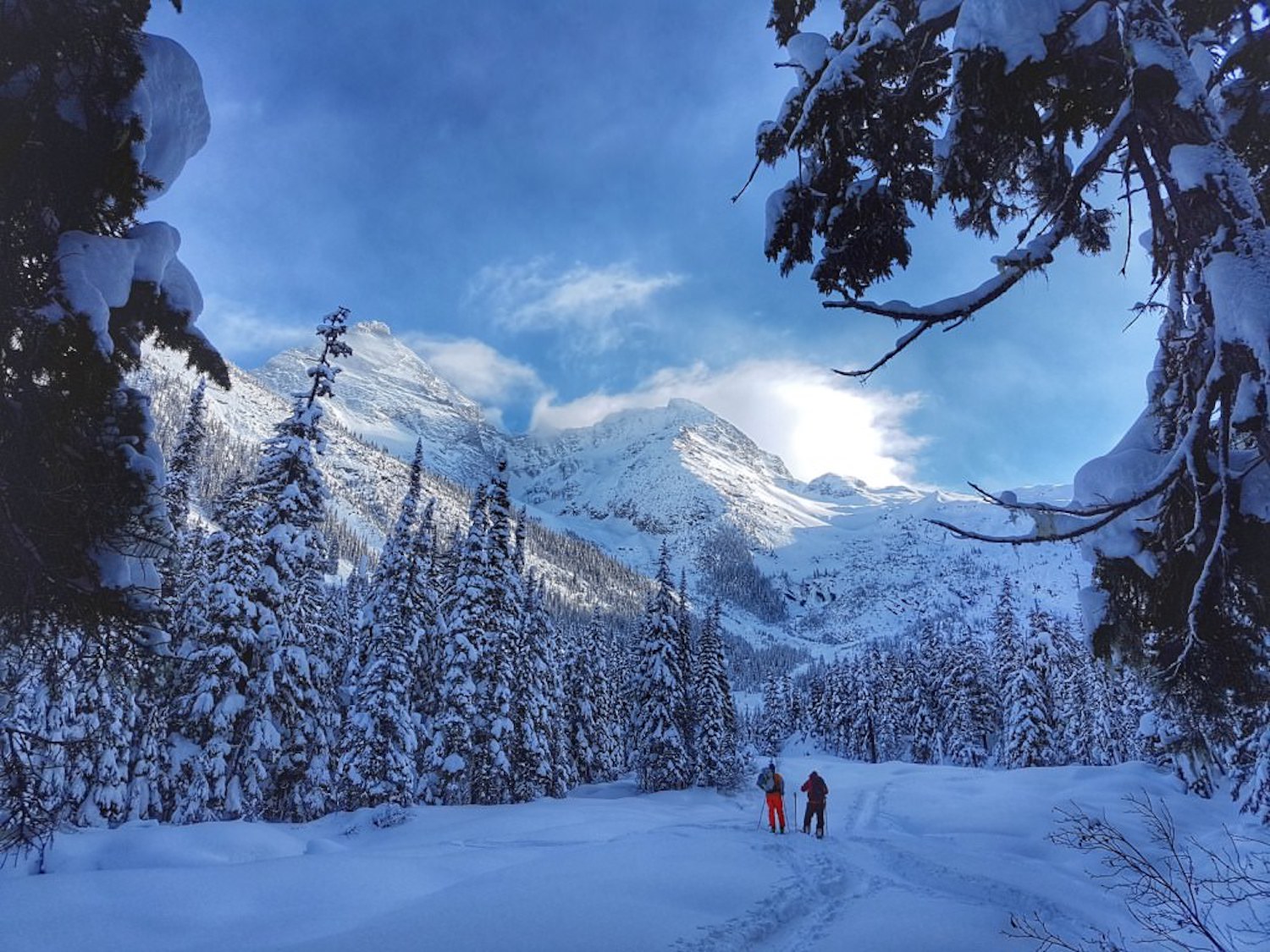 Canada Heliski a Revelstoke